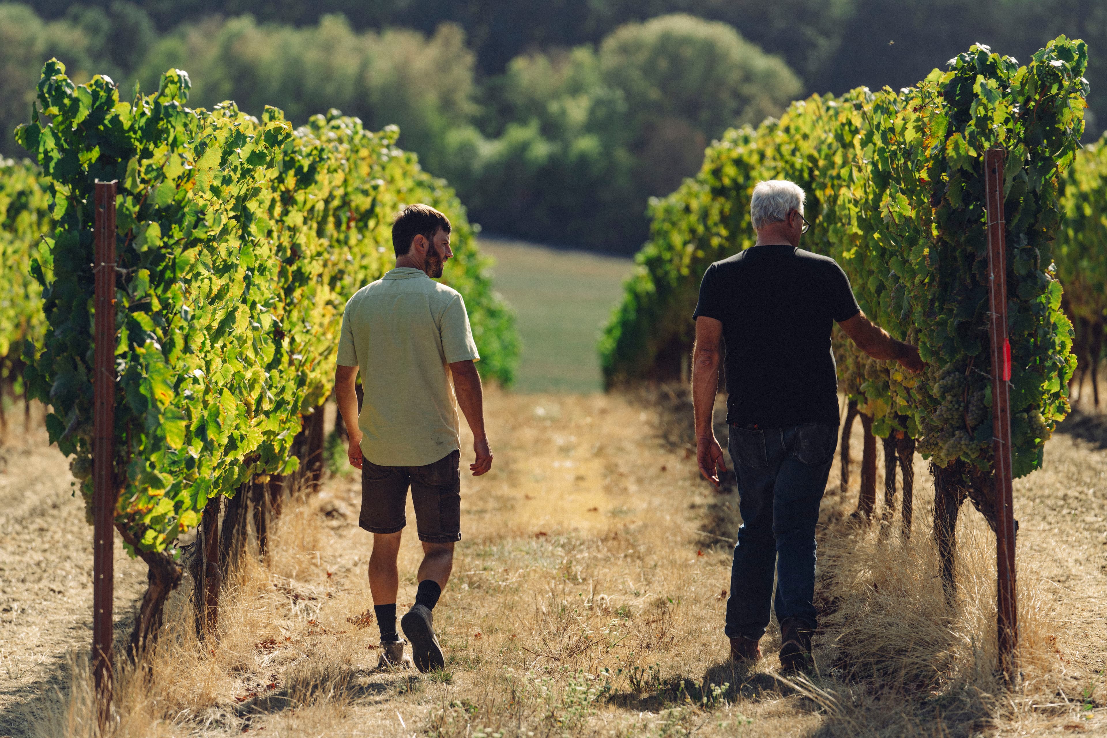winery-team-2396